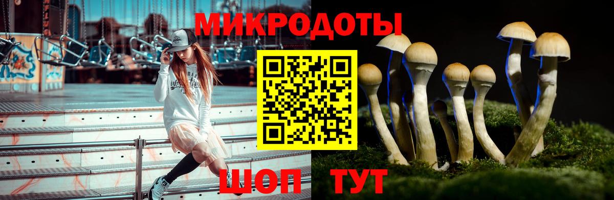 Архангельск  Псилоцибиновые грибы MAGIC MUSHROOMS  Вход с VPN 